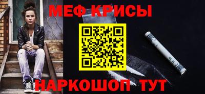 СК Бердск