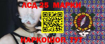 СК Бердск