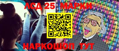 СК Бердск