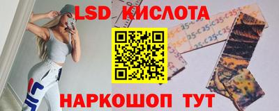 СК Бердск