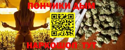 СК Бердск