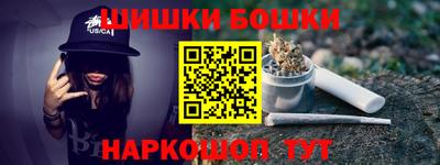 СК Бердск
