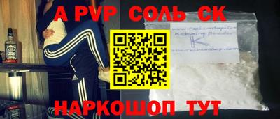 СК Бердск