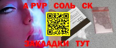 СК Бердск