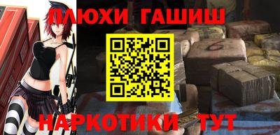 СК Бердск
